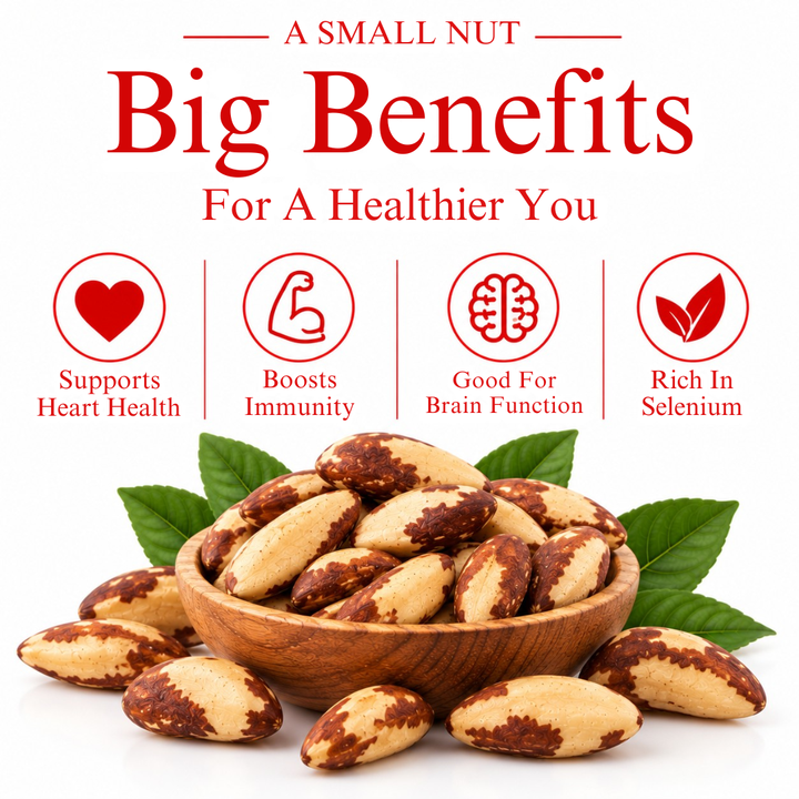 100% Natural Raw Brazil Nuts – Fresh Whole Kernel, Thyroid & Immunity Support (500G)