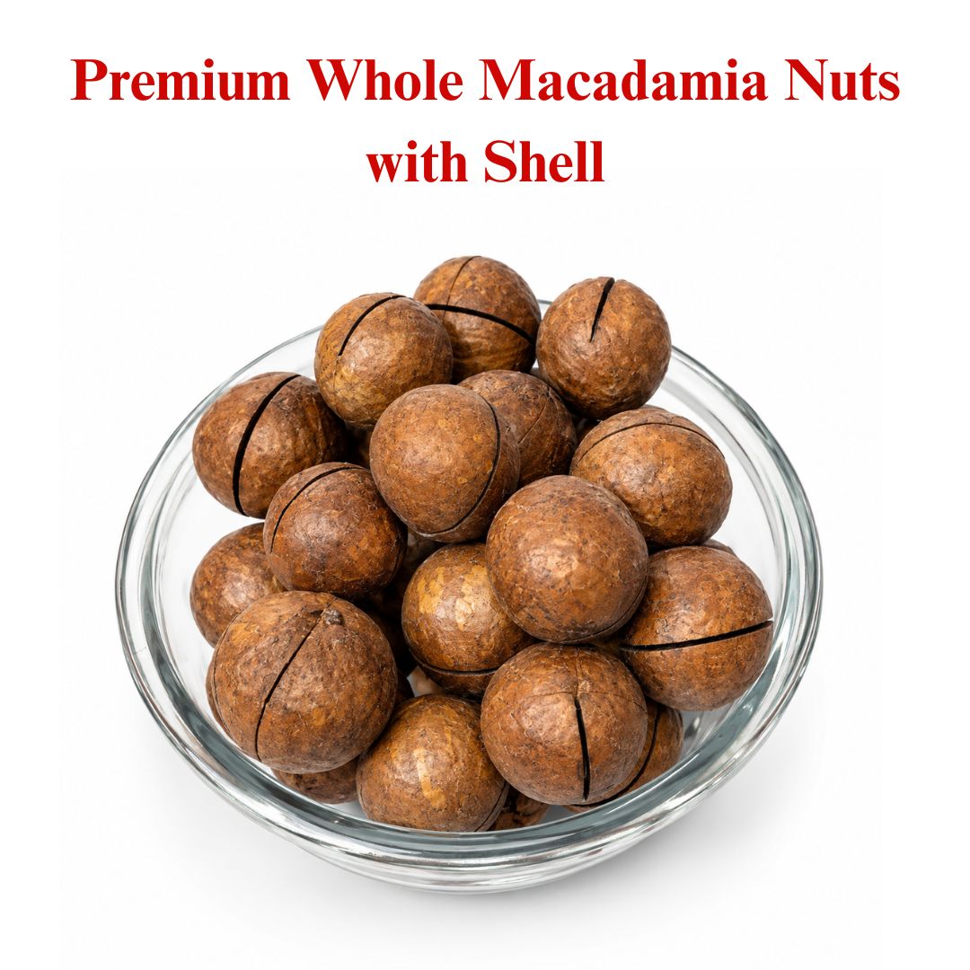 Premium Macadamia Nuts with Shell | Whole Raw Macadamia Nuts 500G