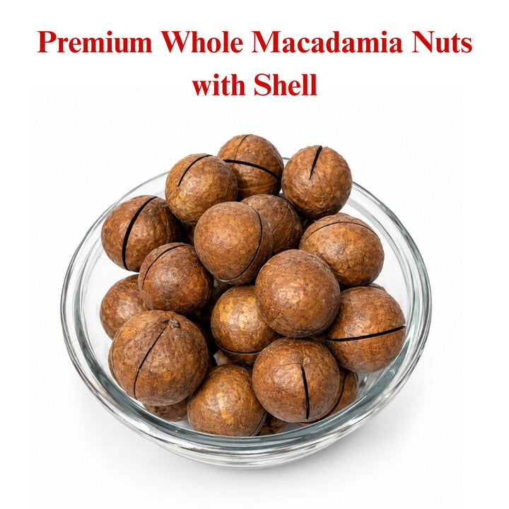 Premium Macadamia Nuts with Shell | Whole Raw Macadamia Nuts 500G