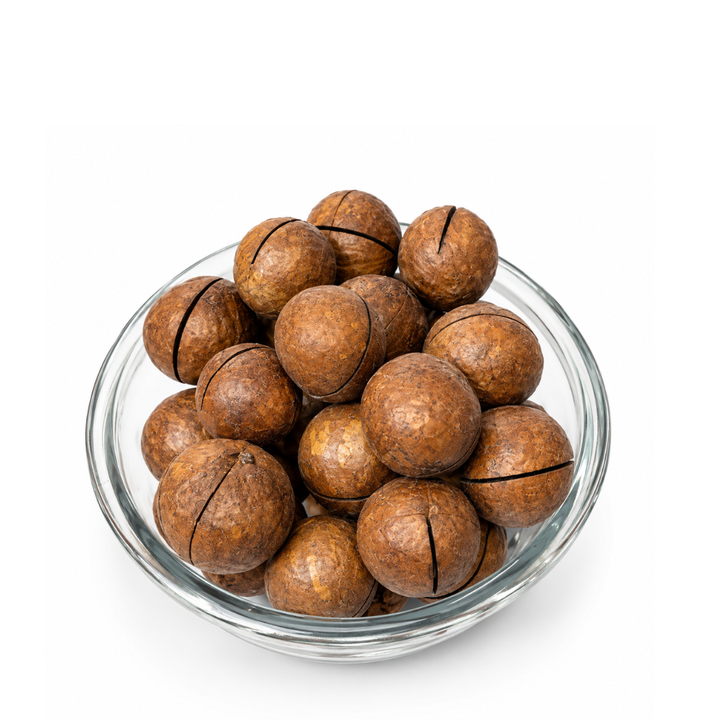 Premium Macadamia Nuts with Shell | Whole Raw Macadamia Nuts 500G